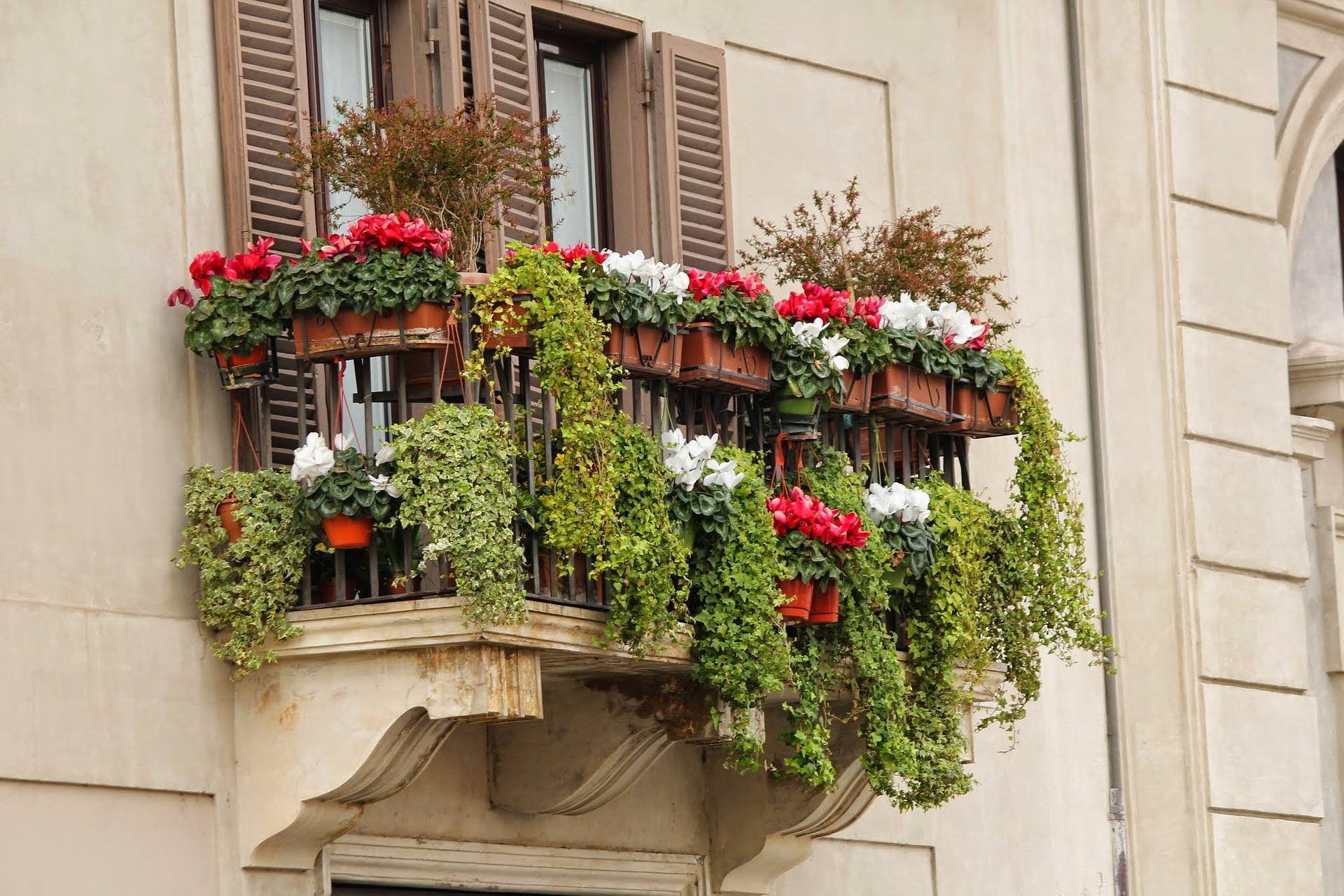 A Virágos Magyarország ismét meghirdette a „Virágos balkonok, virágos kertek” versenyét!